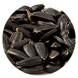 schwarze_sonnenblumenkerne_1