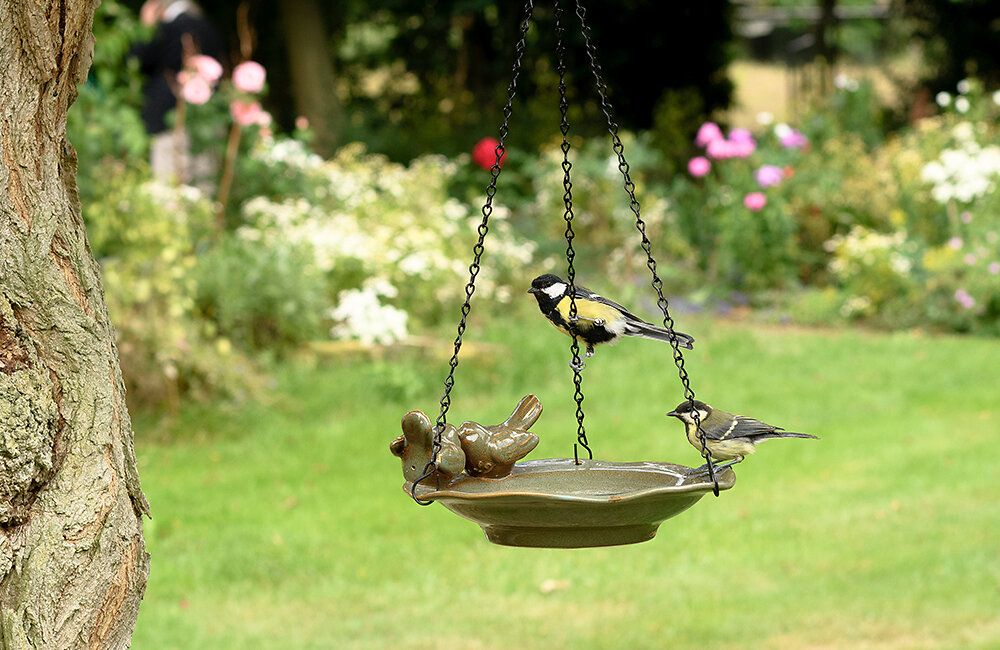 2 Kohlmeisen an einer Vogeltränke im Garten.