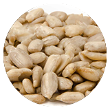 geschaelte_sonnenblumenkerne_1