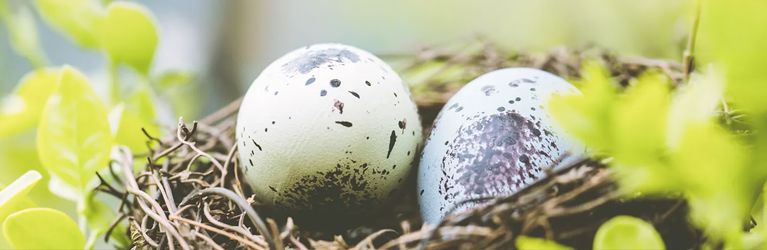 Finde die Ostereier!