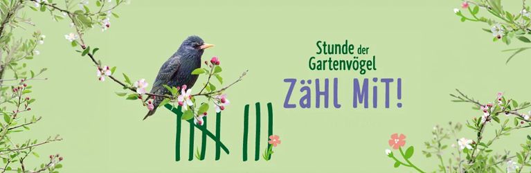 Stunde der Gartenvögel