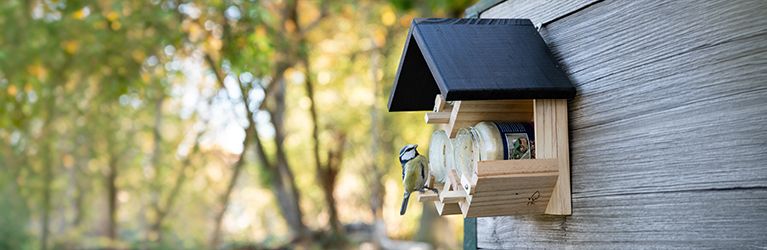 Vögel füttern auf dem Balkon