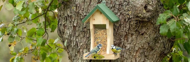 Vogelhaus im Garten: Futterplätze und Nistkästen für heimische Vögel