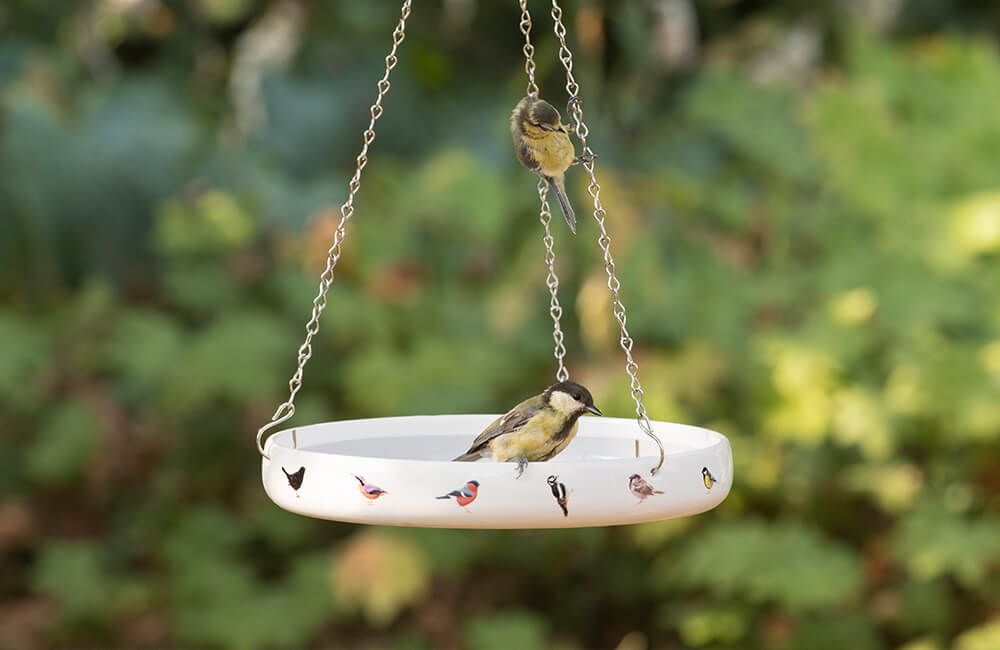 haengende_vogeltraenke_kohlmeisen