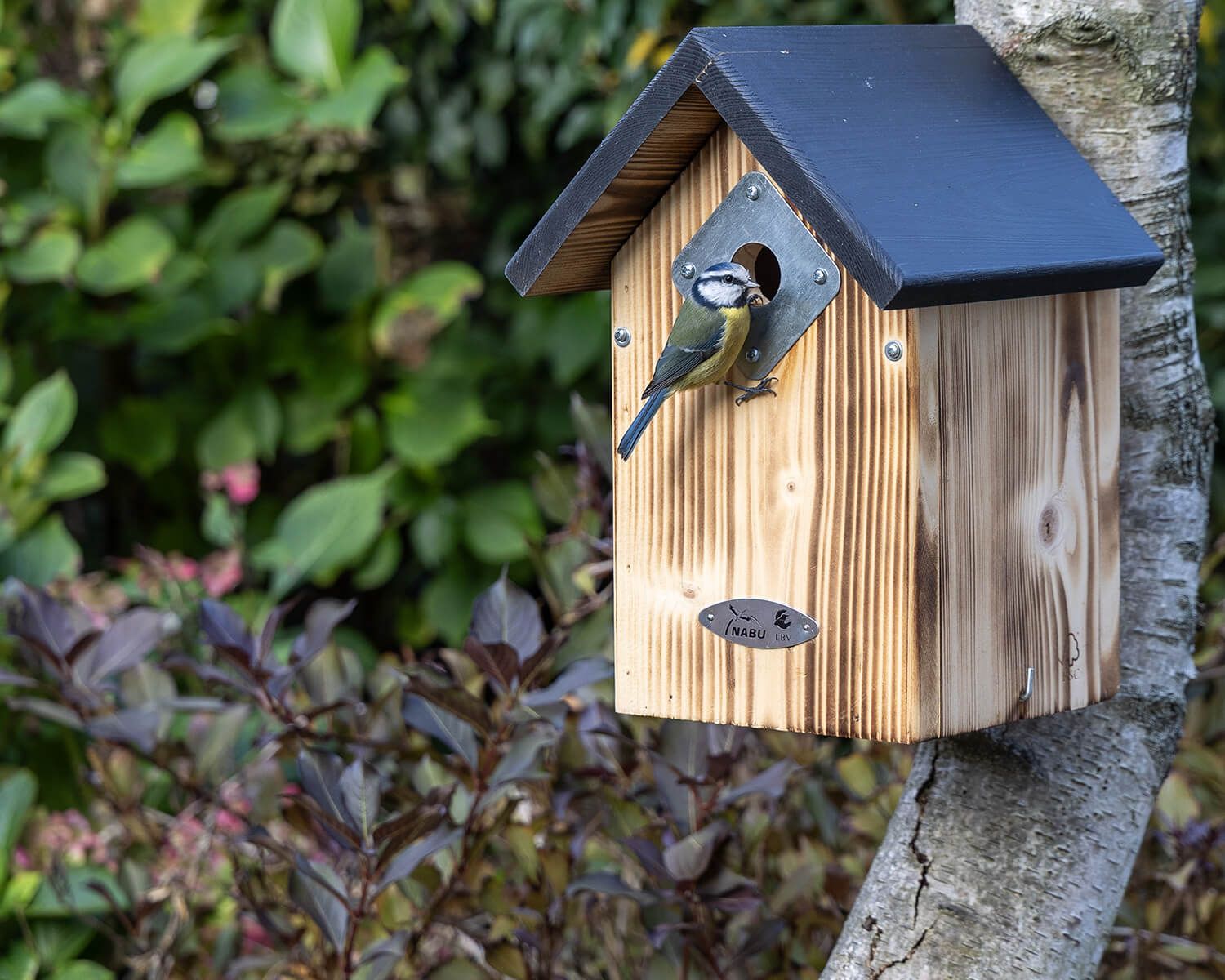 NABU-shop_brutzeit_m