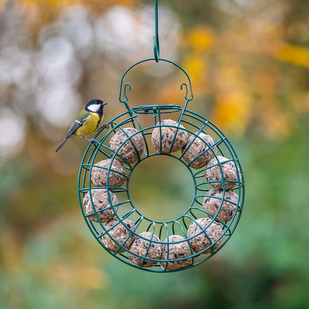 Großer Meisenknödelkranz, grün