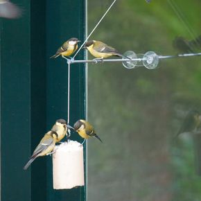 Fenster-Aufhängung „Bird Swing XXL“