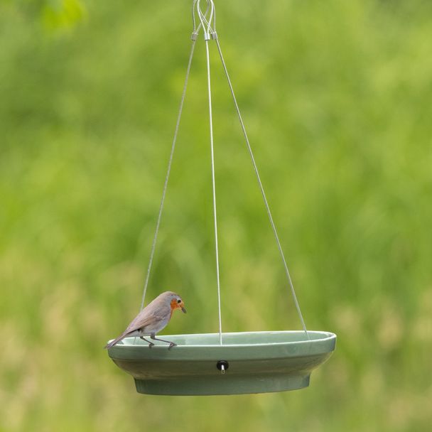 Vogeltränke Vesi - Grün