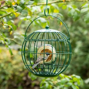 Erdnussbutterglashalter London