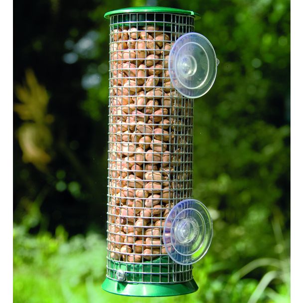 Fenster-Erdnusssäule „Discovery“