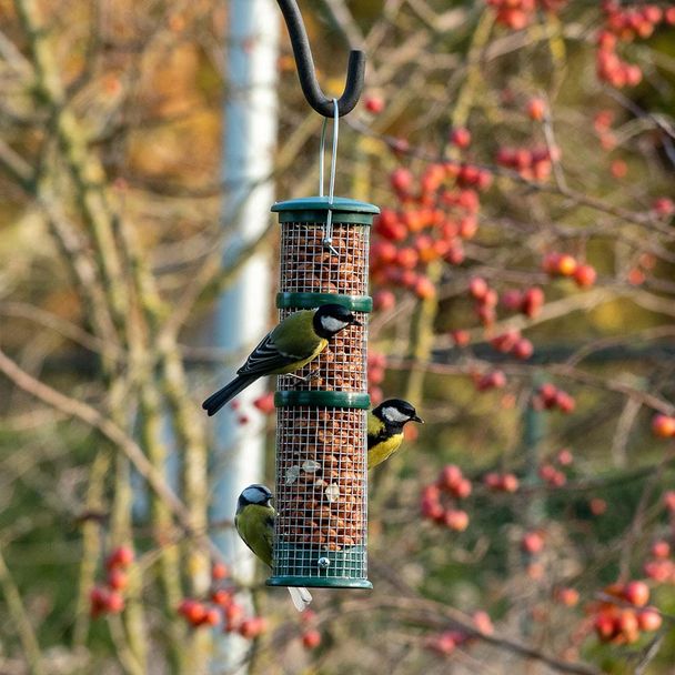 Erdnusssäule Hamburg, groß