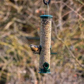Futtersäule Krefeld, groß