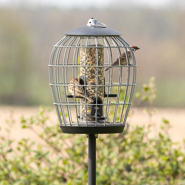 Schutz-Futtersäule für kleine Vögel „Aura“