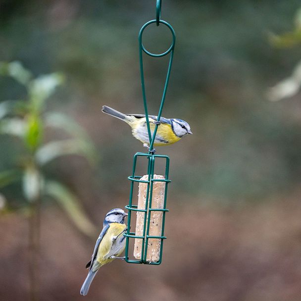 2-in-1 Energierollen-Halter und -Greifer „Peru“