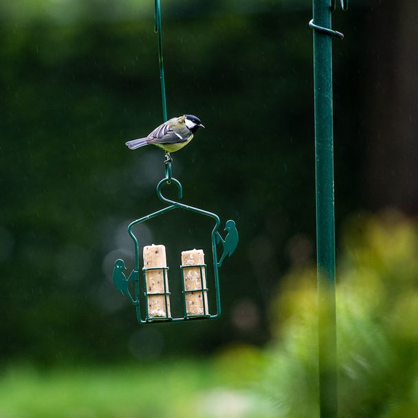 Starter-Set mit Energierollen-Halter und 6 Energierollen