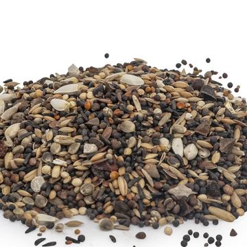 Premium Sommerfutter 2,5 kg