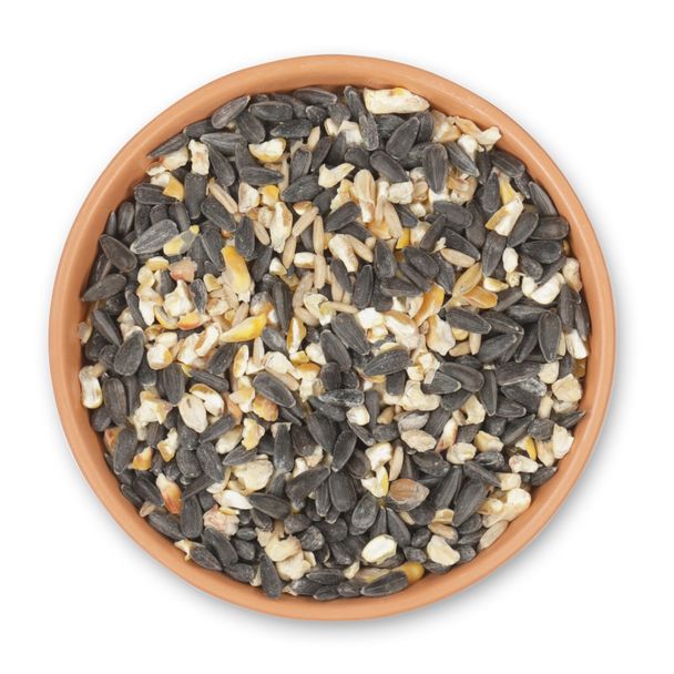 Bio-Vogelfutter 2,5 kg