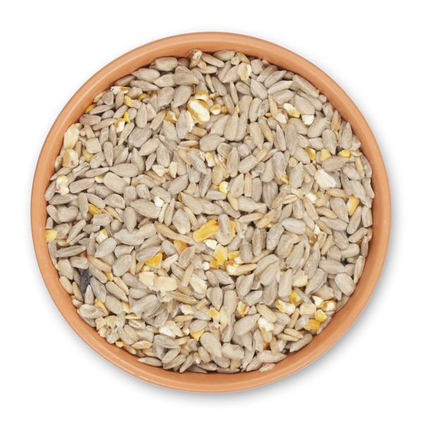 Green+ Samen Plus 2,5kg (biologischer Anbau)