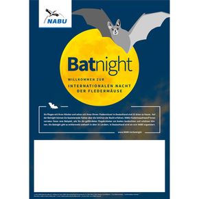 Batnight Poster A3