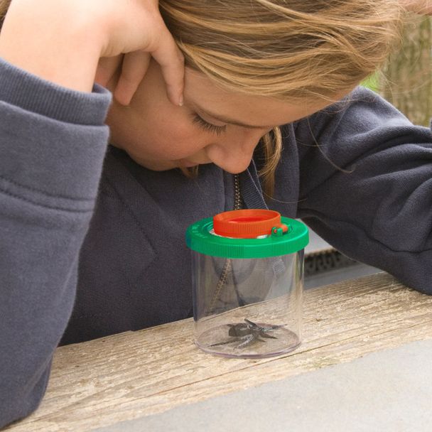 Insekten-Lupenbecher Darwin