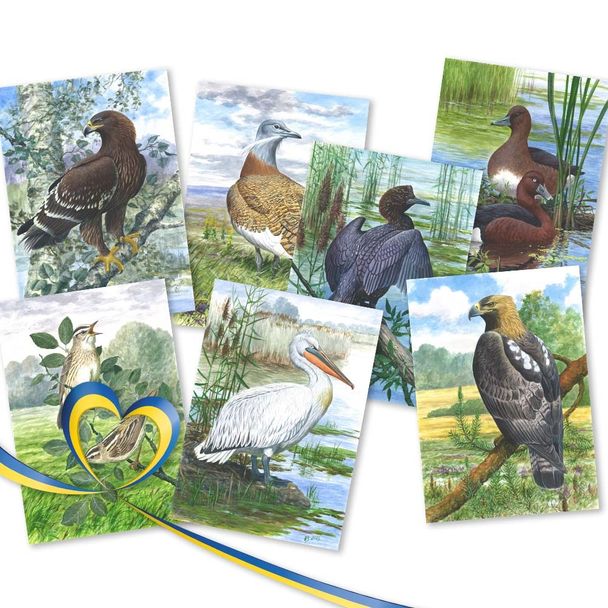 Bedrohte Vögel der Ukraine