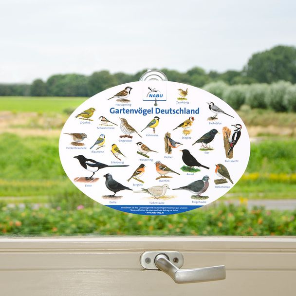 Fensterposter Gartenvögel