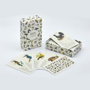 Fliegende Edelsteine – Das Vogelquartett