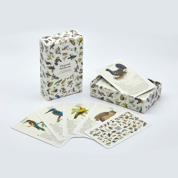 Fliegende Edelsteine – Das Vogelquartett