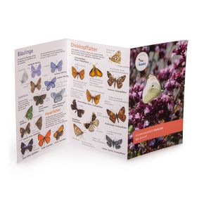 NABU Bestimmungskarte: Schmetterlinge