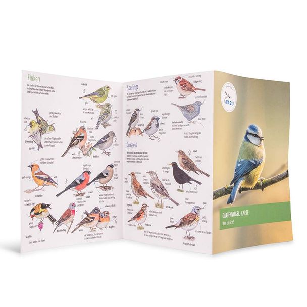 NABU Bestimmungskarte: Gartenvögel