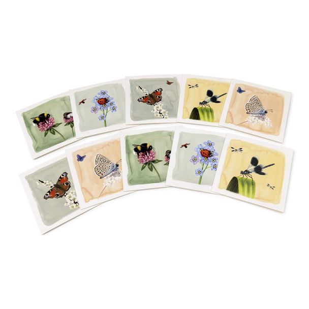 Grußkarten-Set Insekten - Myrte (2 x 5 Designs)