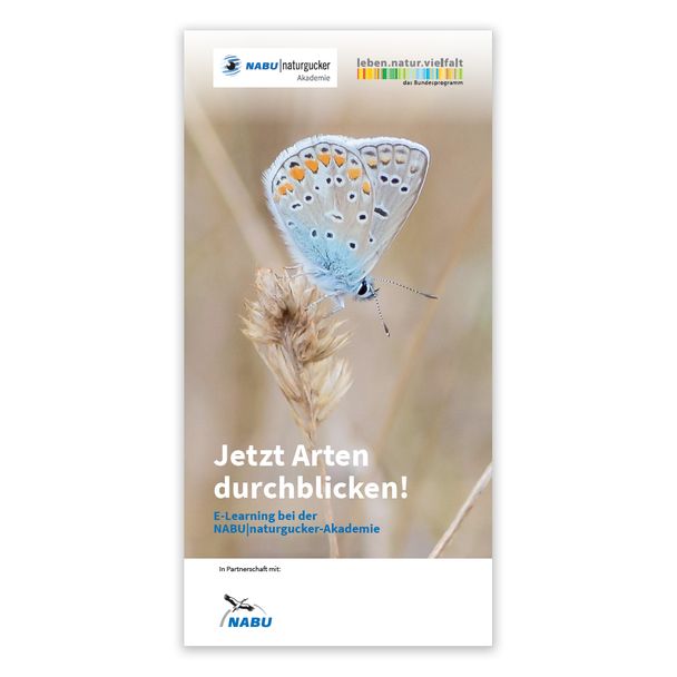 Flyer NABU|naturgucker-Akademie