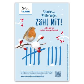 Plakat Stunde der Wintervögel