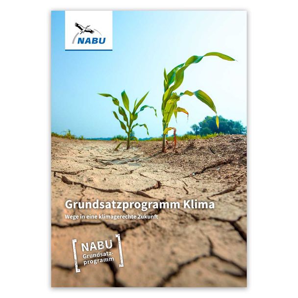 Grundsatzprogramm: Klima - Wege in eine klimagerechte Zukunft