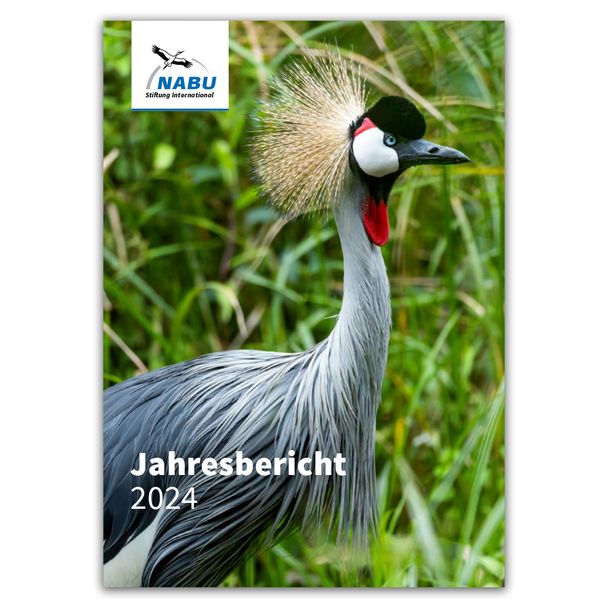 Jahresbericht 2024 - NABU International Naturschutzstiftung