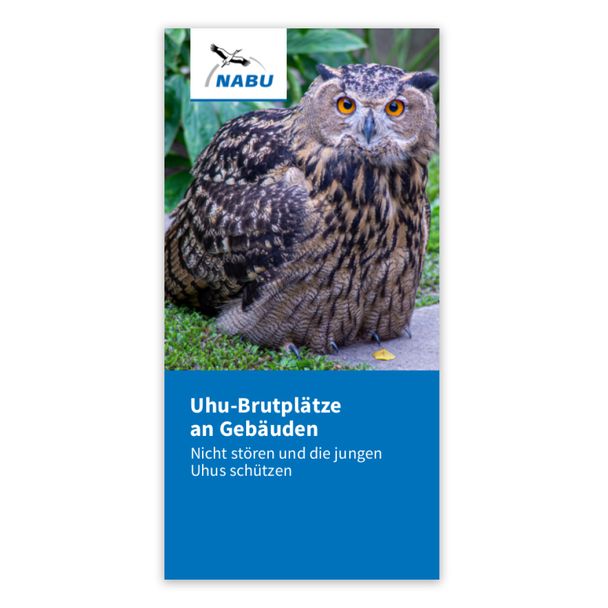 Uhu-Brutplätze an Gebäuden