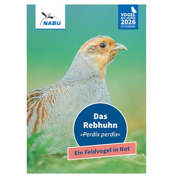 Leporello Vogel des Jahres 2026