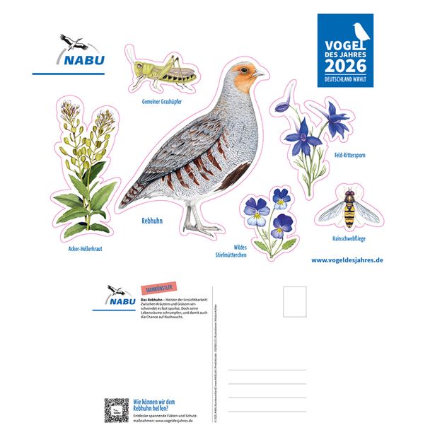 Aufkleber-Postkarte - Vogel des Jahres 2026