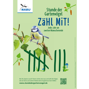 Plakat Stunde der Gartenvögel zeitlos