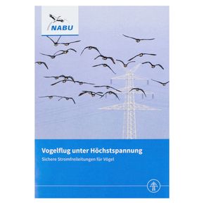 Vogelflug unter Höchstspannung