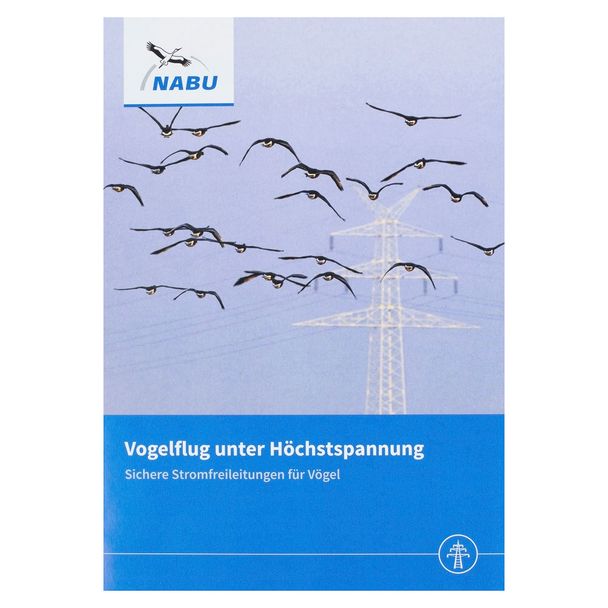 Vogelflug unter Höchstspannung