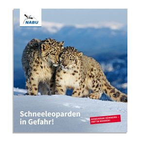 Schneeleoparden in Gefahr! - Schneeleopardenpatenschaft