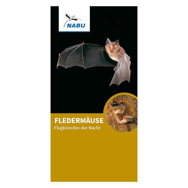 Faltblatt Fledermäuse - Flugkünstler der Nacht