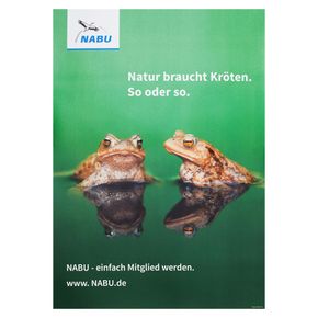 Natur braucht Kröten  (Poster)