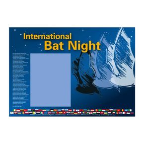 Batnight Poster A2