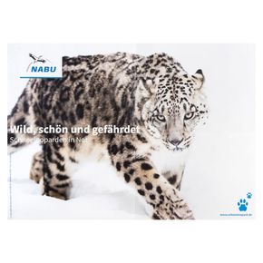Schneeleoparden-Poster