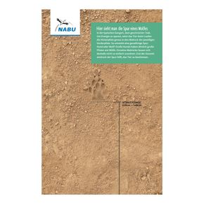 Spurenrolle Wolf-Fährte