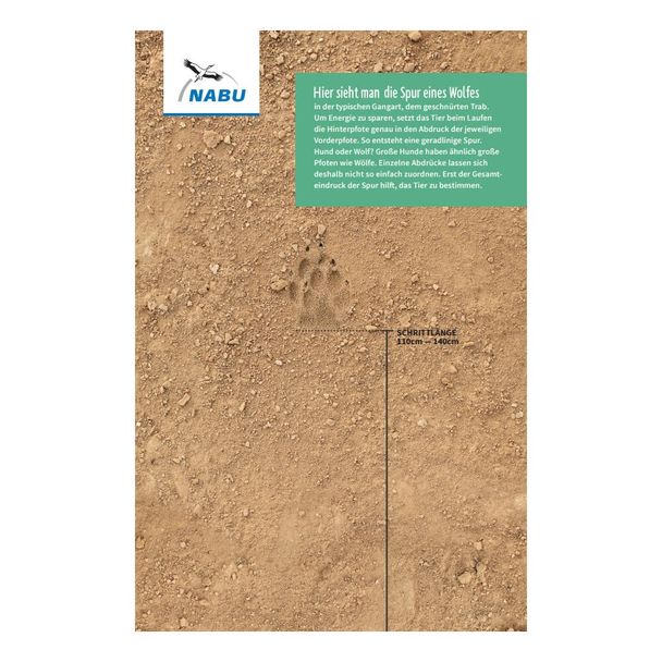 Spurenrolle Wolf-Fährte