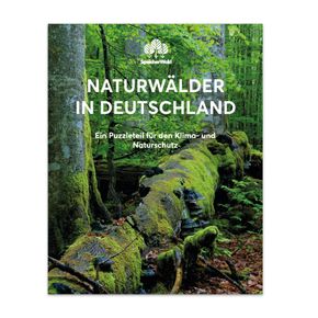 Naturwälder in Deutschland