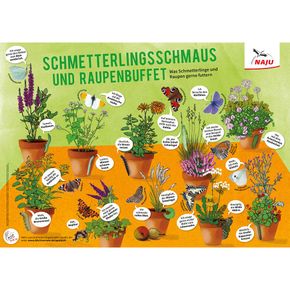 Schmetterlingsschmaus und Raupenbuffet (Poster)